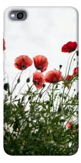 Чохол на Xiaomi Redmi 4a Поле маків фото 1 з 1