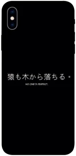 Чехол на Apple iPhone XS Max (6.5") Japanese Perfect фото 1 из 1