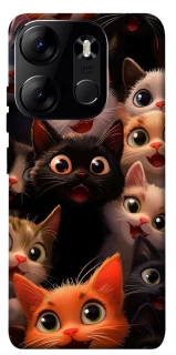Чохол на Tecno Spark Go 2023 happy cats фото 1 з 1