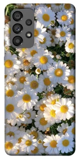 Чохол на Samsung Galaxy A73 5G Поле ромашок фото 1 з 1