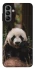 Чехол на Samsung Galaxy A04s Панда фото 1 из 1