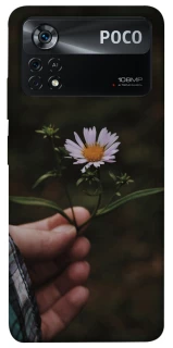 Чехол на Xiaomi Poco X4 Pro 5G Ромашка v4 фото 1 из 1