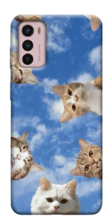 Чехол на Motorola Moto G42 Сats фото 1 из 1