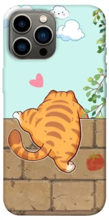 Чехол на Apple iPhone 13 Pro Max (6.7") Cat the meow фото 1 из 1