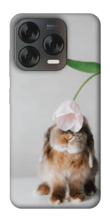 Чехол на ZTE Blade V70 Design Bunny фото 1 из 2