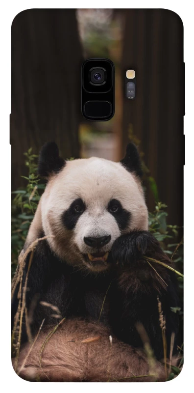 Чохол на Samsung Galaxy S9 Панда фото 1 з 1