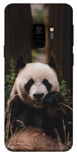 Чохол на Samsung Galaxy S9 Панда фото 1 з 1