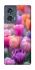 Чохол на Motorola Edge 50 Тюльпанове поле фото 1 з 1