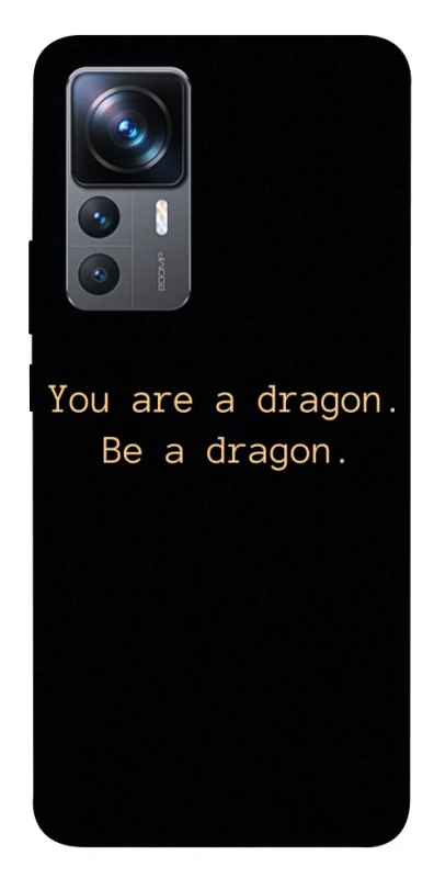 Чехол на Xiaomi 12T / 12T Pro House of the Dragon ver.9 фото 1 из 1