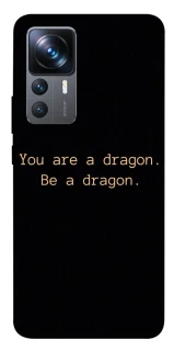 Чехол на Xiaomi 12T / 12T Pro House of the Dragon ver.9 фото 1 из 1