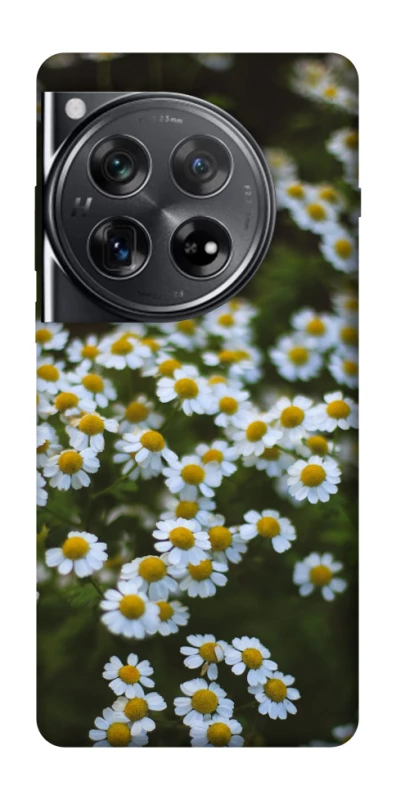 Чехол на OnePlus 12 Ромашки v13 фото 1 из 1