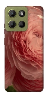 Чохол на Motorola Moto G15 4G Elegance фото 1 з 1