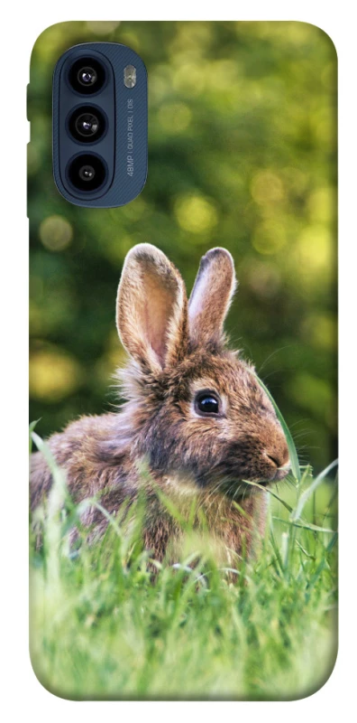 Чехол на Motorola Moto G41 Кролики фото 1 из 1