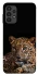 Чохол на Samsung Galaxy A13 4G Leopard v4 фото 1 з 1