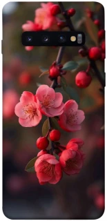 Чехол на Samsung Galaxy S10 Flowers v28 фото 1 из 1