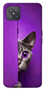Чохол на Oppo A92s Кіт-підглядач фото 1 з 1