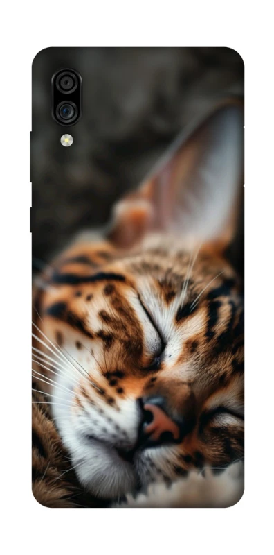 Чехол на ZTE Blade A5 (2020) Cat paws фото 1 из 1