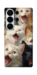 Чохол на Samsung Galaxy S26 Коти фото 1 з 1