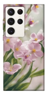 Чехол на Samsung Galaxy S23 Ultra Spring фото 1 из 1