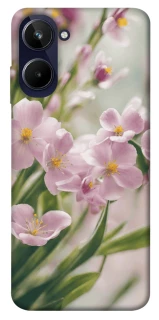 Чехол на Realme 10 4G Spring фото 1 из 1
