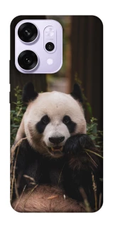 Чехол на Oppo Reno 14 Pro Панда фото 1 из 1