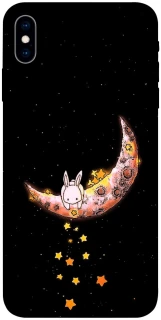 Чохол на Apple iPhone X (5.8") Moon rabbit фото 1 з 1