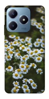Чехол на Realme C63 Ромашки v13 фото 1 из 1