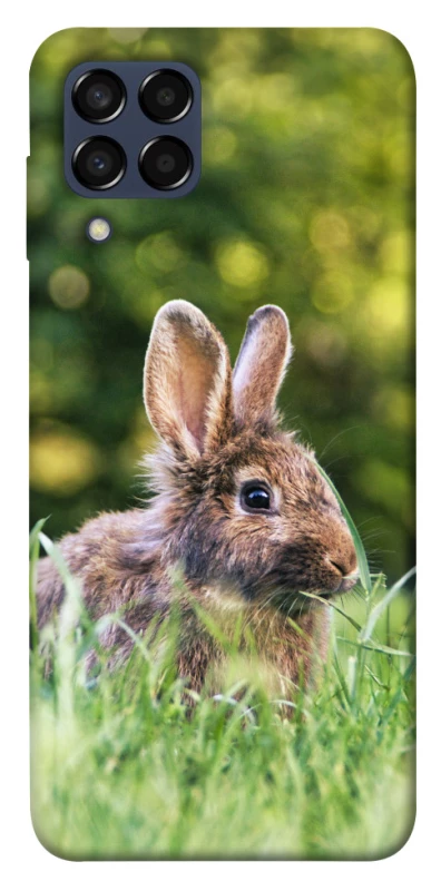 Чехол на Samsung Galaxy M33 5G Кролики фото 1 из 1