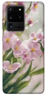 Чехол на Samsung Galaxy S20 Ultra Spring фото 1 из 1