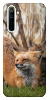 Чехол на Realme 6 Лиса фото 1 из 1