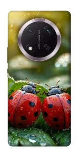 Чехол на Honor X9c Flowers v23 фото 1 из 1