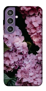 Чохол на Samsung Galaxy S23 FE Рожеві гартензії фото 1 з 1