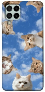 Чохол на Samsung Galaxy M53 5G Сats фото 1 з 1