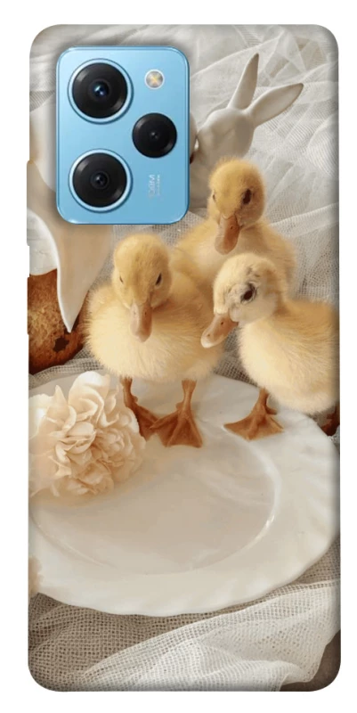 Чехол на Xiaomi Poco X5 Pro 5G Easter Vibes фото 1 из 1