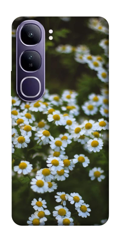 Чохол на Vivo Y300 Ромашки v13 фото 1 з 1