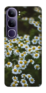 Чехол на Vivo Y300 Ромашки v13 фото 1 из 1