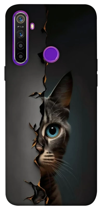 Чехол на Realme 5 Кот-подглядыватель v2 фото 1 из 1