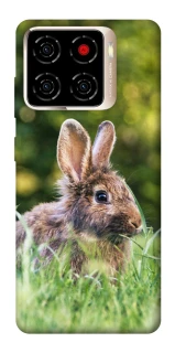 Чехол на ZTE Blade A56 Кролики фото 1 из 1