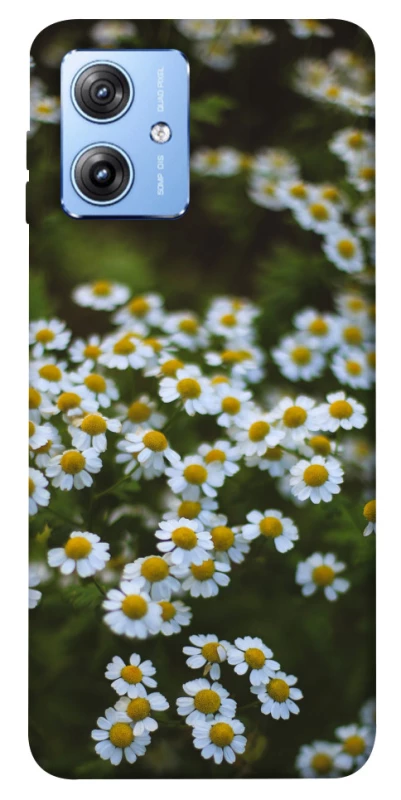 Чехол на Motorola Moto G84 Ромашки v13 фото 1 из 1