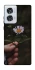 Чохол на Motorola Edge 50 Fusion Ромашка v4 фото 1 з 1