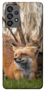Чехол на Samsung Galaxy A73 5G Лиса фото 1 из 1