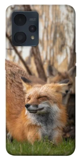 Чохол на Realme 9 4G / 9 Pro+ Лисиця фото 1 з 1