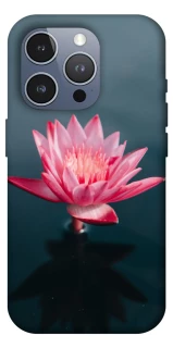 Чехол на Apple iPhone 16 Pro Max Лотос фото 1 из 1