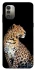Чохол на Nokia G11 Leopard v2 фото 1 з 1
