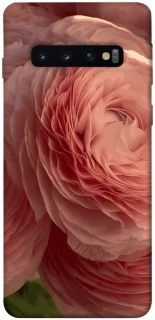 Чехол на Samsung Galaxy S10 Elegance фото 1 из 1