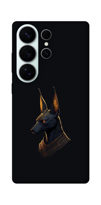 Чохол на Samsung Galaxy S26 Anubis фото 1 з 1