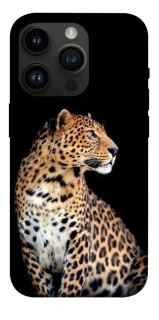 Чохол на Apple iPhone 14 Pro (6.1") Leopard v2 фото 1 з 1