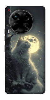 Чохол на TECNO Camon 30 (CL6) Кіт під місяцем фото 1 з 1