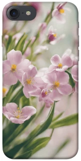 Чехол на Apple iPhone 7 / 8 (4.7") Spring фото 1 из 1