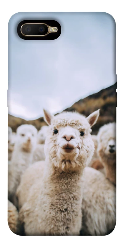 Чехол на OPPO A5 / A3S / AX5 / R15-NEO Лама фото 1 из 1